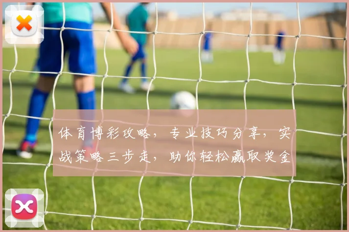 体育博彩攻略，专业技巧分享，实战策略三步走，助你轻松赢取奖金，必看