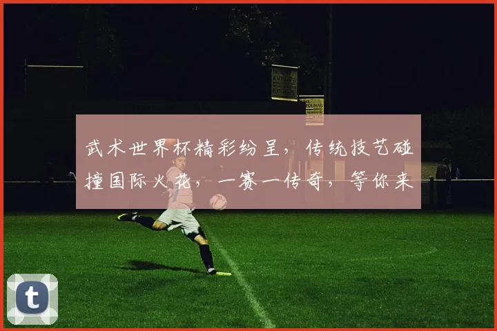 武术世界杯精彩纷呈，传统技艺碰撞国际火花，一赛一传奇，等你来见证