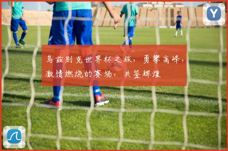 乌兹别克世界杯之旅，勇攀高峰，激情燃烧的赛场，共鉴辉煌