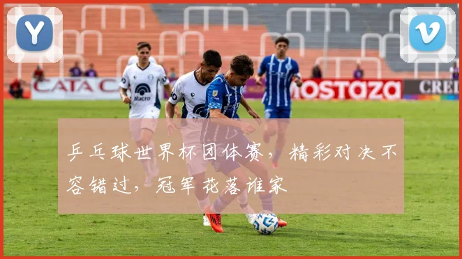 乒乓球世界杯团体赛，精彩对决不容错过，冠军花落谁家