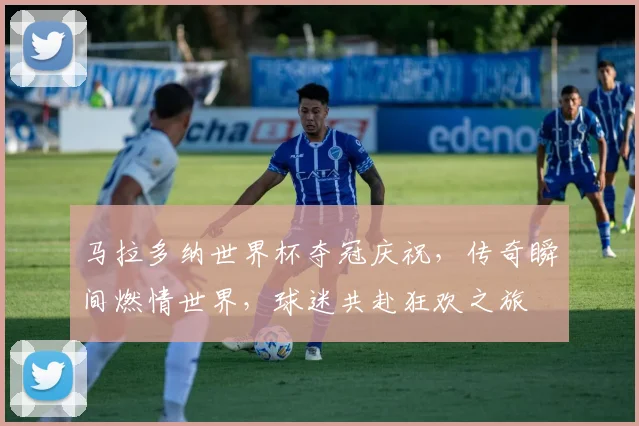 马拉多纳世界杯夺冠庆祝，传奇瞬间燃情世界，球迷共赴狂欢之旅