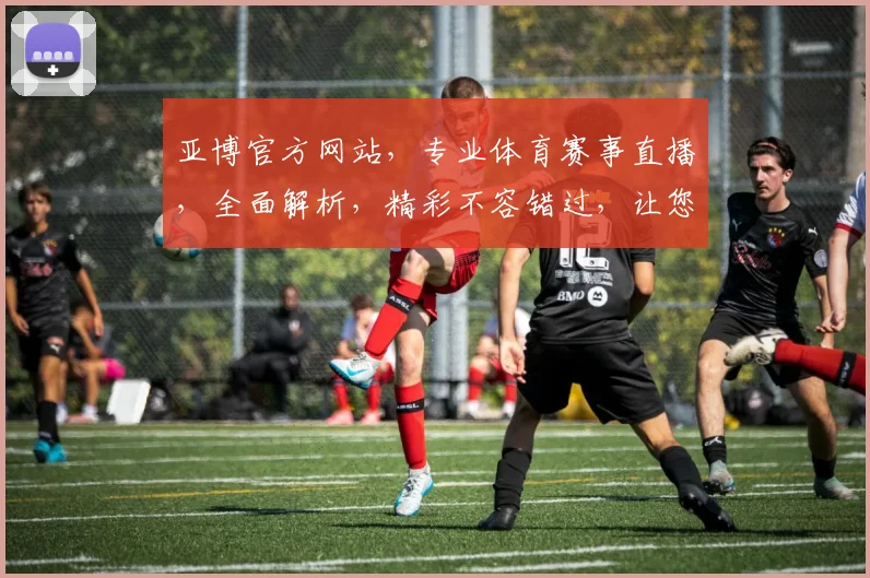 亚博官方网站，专业体育赛事直播，全面解析，精彩不容错过，让您畅享体育盛宴