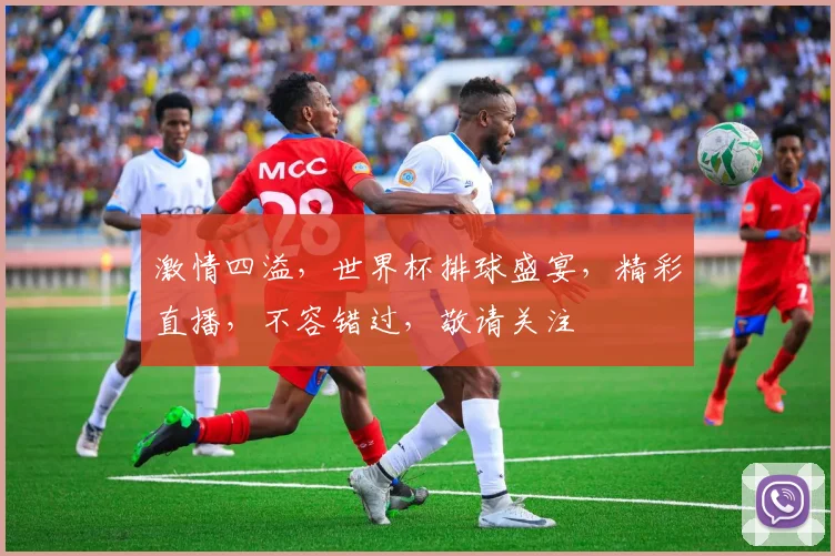 激情四溢，世界杯排球盛宴，精彩直播，不容错过，敬请关注